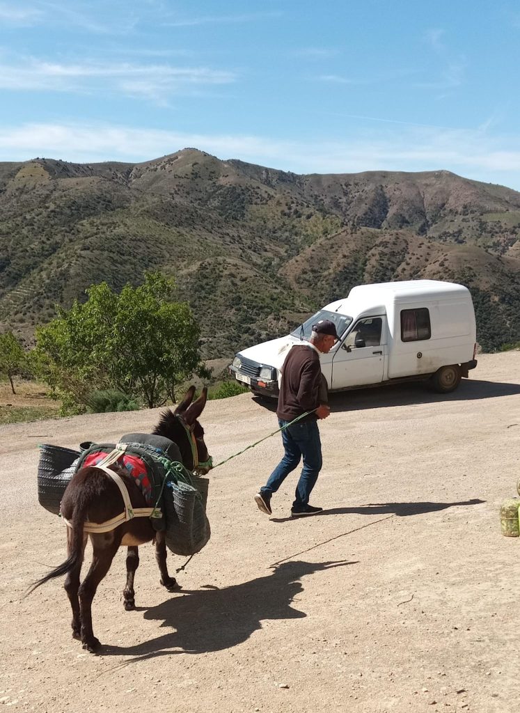 noodhulp Marokko voedselpakketen